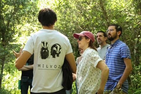 Original Objeto digital not accessible