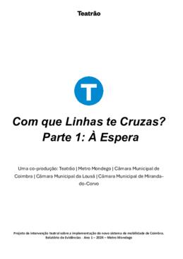 Com que linhas te cruzas_metro evidencias 2