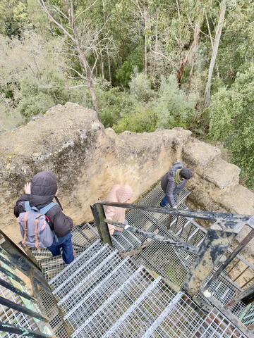 Original Objeto digital not accessible