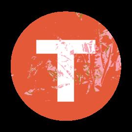 Special_T_Dança_v01