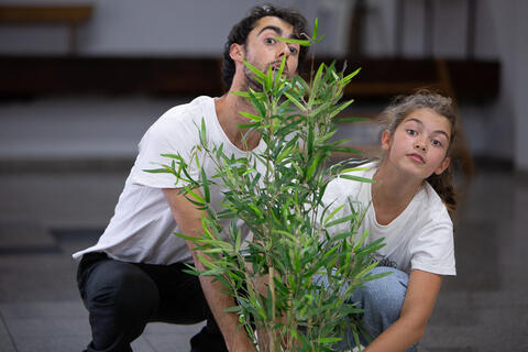 Original Document numérique not accessible