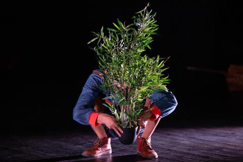 Original Digital object not accessible