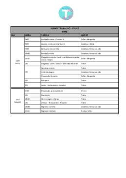 Plano de trabalho_TIME_Loulé