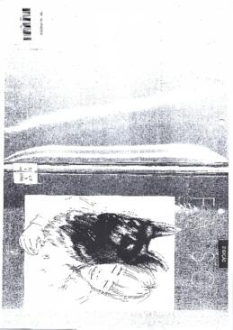 Faísca, conta a sua história