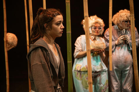 Original Objeto digital not accessible