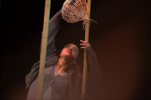 Original Document numérique not accessible