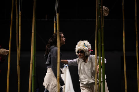 Original Document numérique not accessible