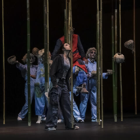 Original Objeto digital not accessible