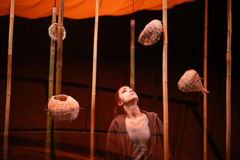 Original Document numérique not accessible