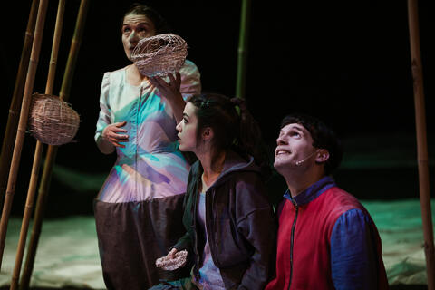 Original Objeto digital not accessible