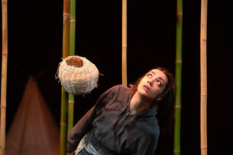 Original Objeto digital not accessible