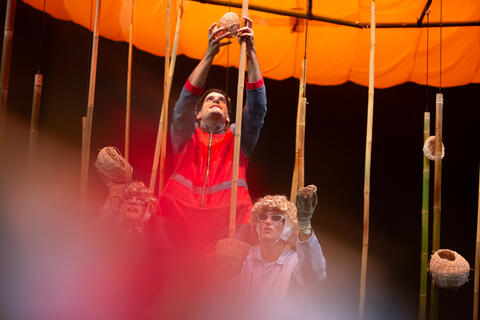 Original Objeto digital not accessible