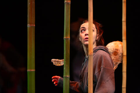 Original Objeto digital not accessible