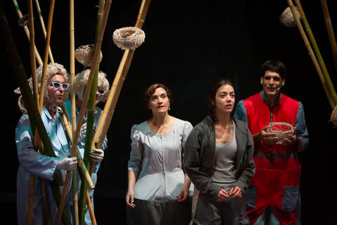 Original Objeto digital not accessible