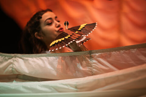 Original Objeto digital not accessible