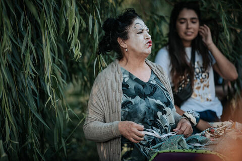 Original Objeto digital not accessible