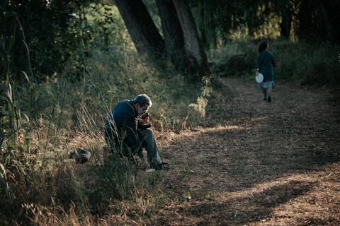 Original Objeto digital not accessible