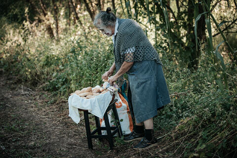 Original Objeto digital not accessible