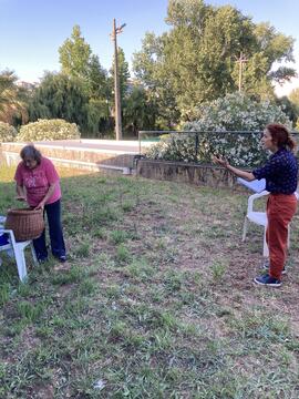 Original Objeto digital not accessible