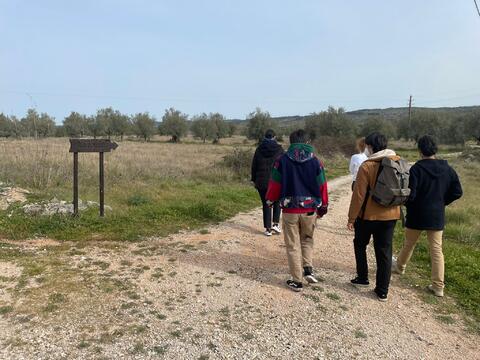 Original Objeto digital not accessible