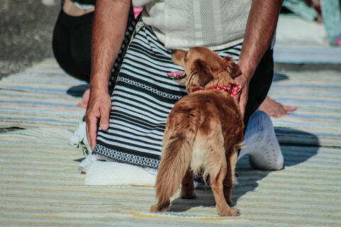 Original Objeto digital not accessible