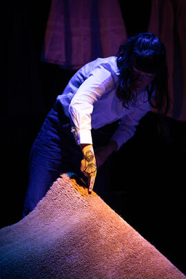 11 ESC © Carlos Gomes